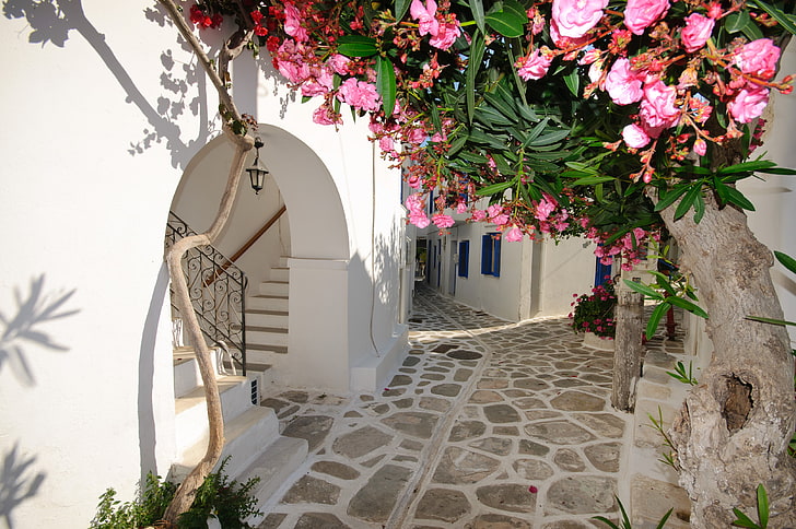 Discover Greece: Your Dream Destination